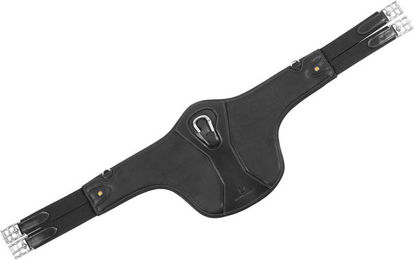 Produktbild von Reitlatzgurt Equestro