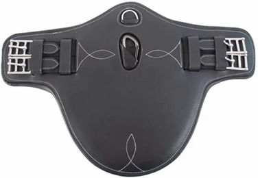 Produktbild von Reitlatzgurt kurz T de T