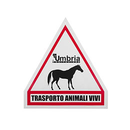 Produktbild von Reitplatte Umbria Equitazione