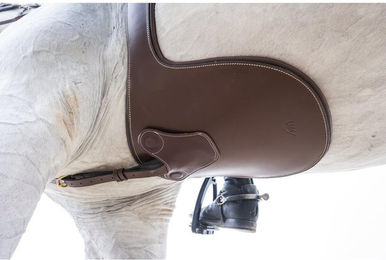 Produktbild von Reitsattelgurt mit Magneten HFI