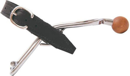 Reitsporn Frau T de T – Bild 1 von 4