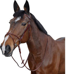 Produktbild von Reittrense Atlanta rund Lexington