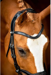 Produktbild von Reittrense aus veganem Leder Montar Monarch Jumping ECO