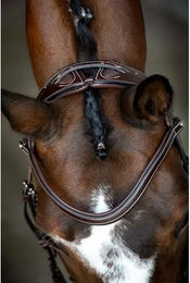 Produktbild von Reittrense aus veganem Leder Montar Monarch Jumping ECO