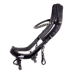 Produktbild von Reittrense FaySport Glitter für Pferde