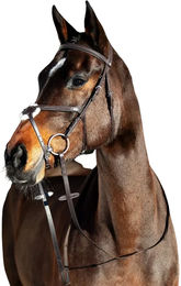Produktbild von Reittrense für Pferd mit Nasenriemen für Kreuzpferd Horze Prescott