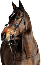 Produktbild von Reittrense für Pferd mit Nasenriemen für Kreuzpferd Horze Prescott