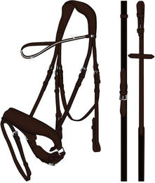 Produktbild von Reittrense für Pferde mit gepolstertem Nasenriemen und Blitzverschluß HorseGuard CRYLL 23.1