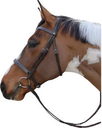 Produktbild von Reittrense Kombinierter anatomischer Nasenriemen Dy'on Hunter