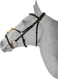 Produktbild von Reittrense Mexikanisches anatomisch gekreuztes Reithalfter HFI