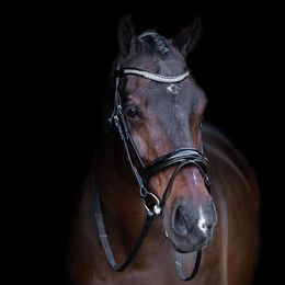 Produktbild von Reittrense mit englischem Nasenriemen Imperial Riding