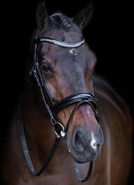 Produktbild von Reittrense mit englischem Nasenriemen Imperial Riding