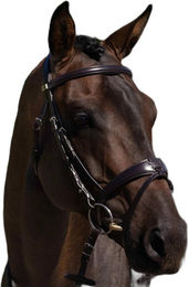 Produktbild von Reittrense Premier Equine Artana