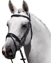 Produktbild von Reittrense Premier Equine Artana