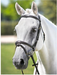 Produktbild von Reittrensen aus Leder Tattini
