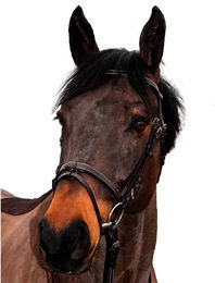 Produktbild von Reittrensen für Pferde Canter Club