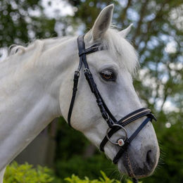 Produktbild von Reittrensen für Pferde Canter Mylord