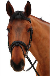 Produktbild von Reittrensen für Pferde Canter Mylord