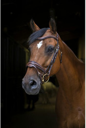 Produktbild von Reittrensen für Pferde Eric Thomas PRO "Design"