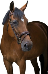 Produktbild von Reittrensen für Pferde Eric Thomas PRO "Wave"