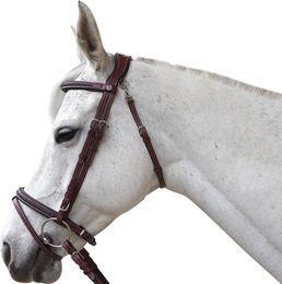 Produktbild von Reittrensen für Pferde Flags&Cup Aachen