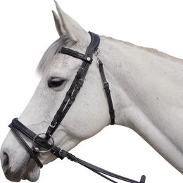 Produktbild von Reittrensen für Pferde Flags&Cup Aachen