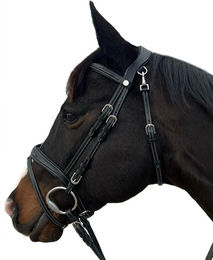 Produktbild von Reittrensen für Pferde Flags&Cup New York