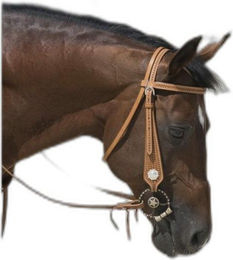 Produktbild von Reittrensen für Pferde Westride Franck Perret Aurora