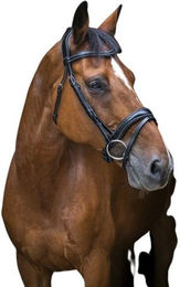 Reittrensen für Vollblutpferde Eric Thomas Pro Wave – Bild 1 von 5