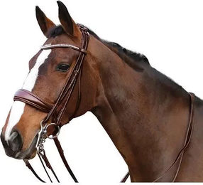 Produktbild von Reittrensen mit Zügeln HorseGuard Ergo weymouth