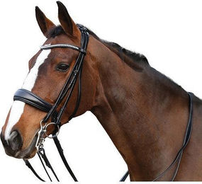 Produktbild von Reittrensen mit Zügeln HorseGuard Ergo weymouth