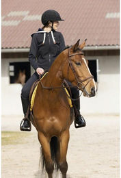 Produktbild von Reitweste Frau Equithème Phoebe