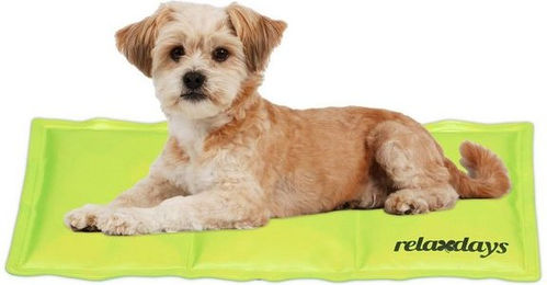 Produktbild von Relaxdays Kühlmatte Hund 20x35 cm Grün