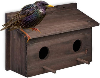 relaxdays Vogelhaus Nistkasten für Stare – Bild 1 von 5