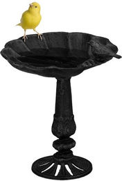 Produktbild von Relaxdays Vogeltränke stehend aus Gusseisen schwarz - 1 Stk.