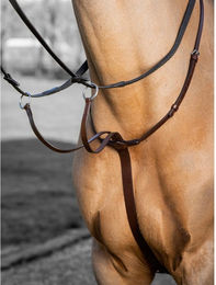 Produktbild von Renn Martingal für Pferde LeMieux Arika