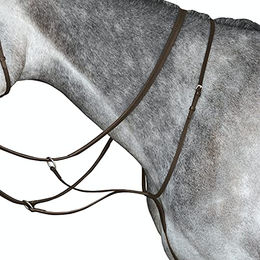 Renn Martingal für Pferde Weatherbeeta Collegiate IV – Bild 1 von 3