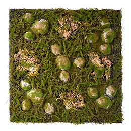Produktbild von Repiterra Terrarium Rückwand 3D Naturlook 58x58cm