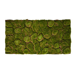 Produktbild von Repiterra Terrarium Rückwand 3D Naturlook Moos 116x58cm