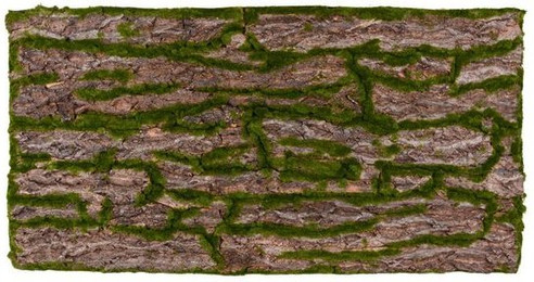 Produktbild von Repiterra Terrarium Rückwand 3D Naturlook Rinde 116x58cm