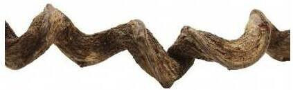 Produktbild von Reptiles Planet Liane Natürliche Premium Vine Sambawa