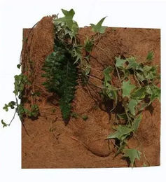 Produktbild von Reptiles Planet Natur Pflanzen Hintergrund für Terrarium