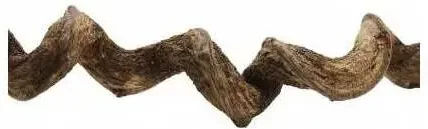 Produktbild von Reptiles Planet Premium Vine Sambawa Deko-Ast für Reptilien