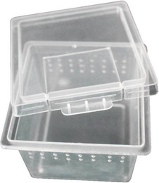 Produktbild von Reptilien und Insekten Zuchtbox