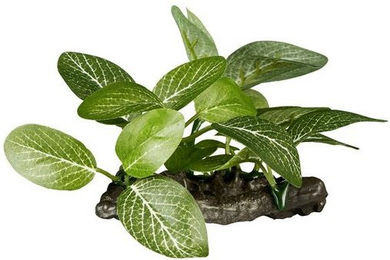 Produktbild von ReptiZoo Kunststoffpflanze Helenia elliptica