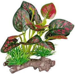 Produktbild von ReptiZoo Kunststoffpflanze Red Scindapsus aureus