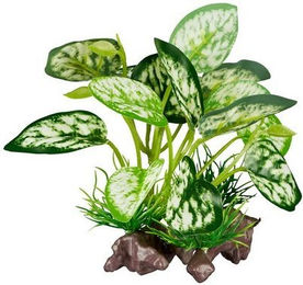 Produktbild von ReptiZoo Kunststoffpflanze White Scindapsus aureus