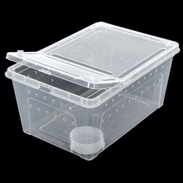 Produktbild von ReptiZoo Kunststoffterrarium small