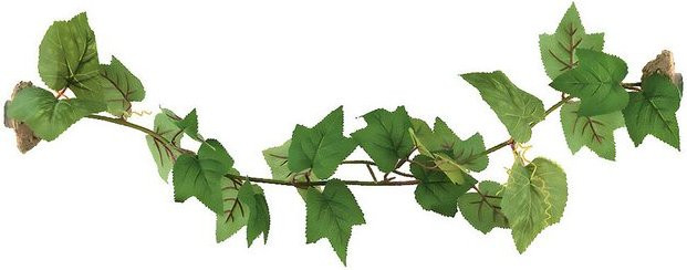 Produktbild von ReptiZoo Magnetisch haftende Kunststoffpflanze "Grape leaves"