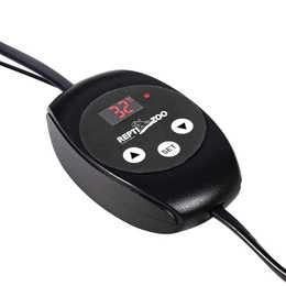 Produktbild von ReptiZoo Mini Thermostat (TC02)
